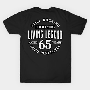 65th Birthday: Celebrate with Humor and Joy for Men & Women T-Shirt